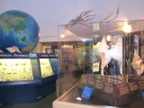 Bailey-Matthews National Shell Museum and Aquarium preview 4