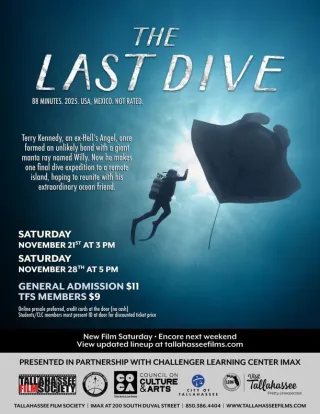 Movie poster for The Last Dive