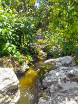 Simpson Park preview 1