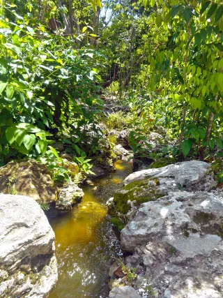 Simpson Park photo 2
