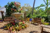 Marie Selby Botanical Gardens preview 3