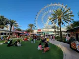 The Wheel at ICON Park preview 3