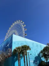 SEA LIFE Orlando Aquarium preview 3