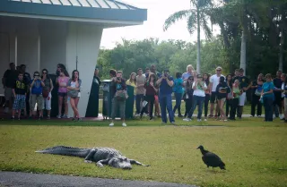 Royal Palm Visitor Center photo 1