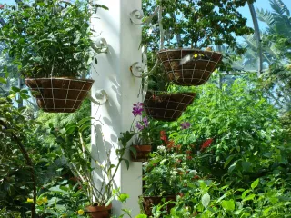 Key West Butterfly and Nature Conservatory in Key West, FL attraction photo
