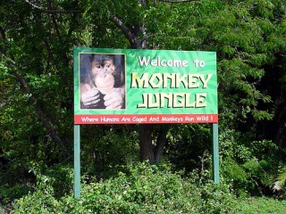 Monkey Jungle in Doral, FL park photo