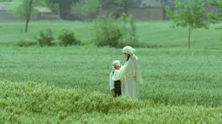 Living the Land movie photo 3