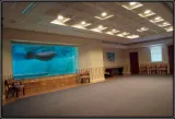 Bishop Museum of Science and Nature preview 2
