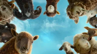 The Sheep Detectives movie photo 1
