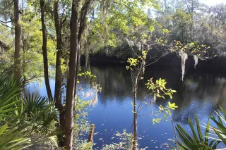 Big Shoals State Park in Lake City, FL park photo