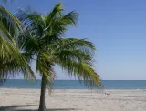 Hobie Island Beach Park preview 2