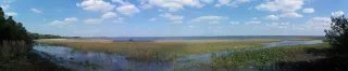 Lake June-in-Winter Scrub State Park in Sebring, FL park photo