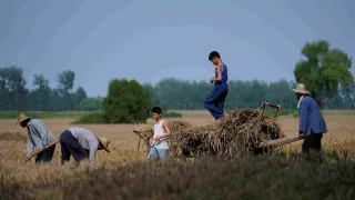 Living the Land movie photo 1