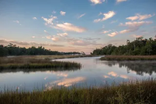 Gulf Islands National Seashore photo 1
