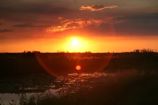 Loxahatchee National Wildlife Refuge in Greenacres, FL park photo