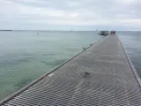 Higgs Beach preview 1