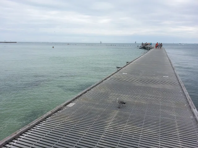 Higgs Beach