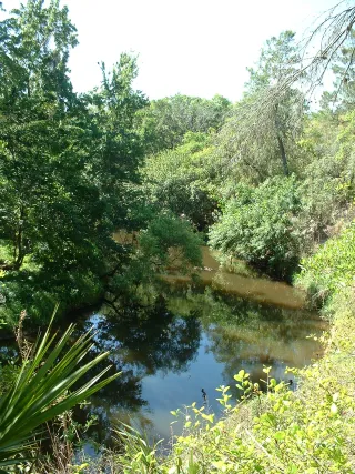 Turkey Creek Sanctuary in West Melbourne, FL park photo