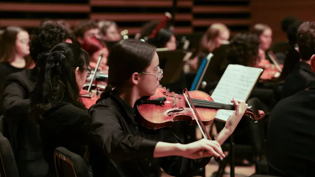 Usf Symphony Orchestra