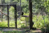 Tallahassee Museum preview 3