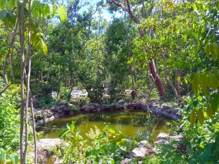 Simpson Park photo 4