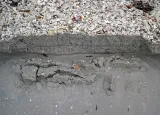 Inlet Shore Beach Area preview 1