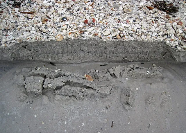 Inlet Shore Beach Area