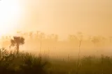 Big Cypress National Preserve preview 4