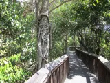 Gumbo Limbo Nature Center preview 2