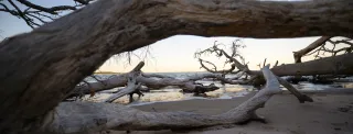 Big Talbot Island State Park in Yulee, FL park photo