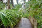 McKee Botanical Garden preview 2