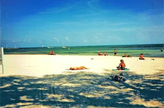 Higgs Beach photo 6