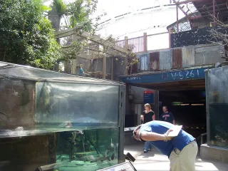 Florida Aquarium photo 1