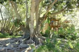 Marie Selby Botanical Gardens preview 2