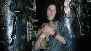 Alien movie photo 3