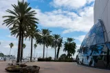 Salvador Dali Museum preview 4