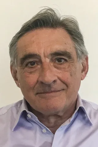Ahmet İnsel