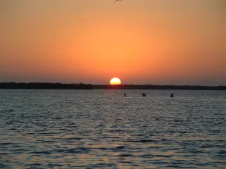 Cockroach Bay Aquatic Preserve in Pinellas Park, FL park photo