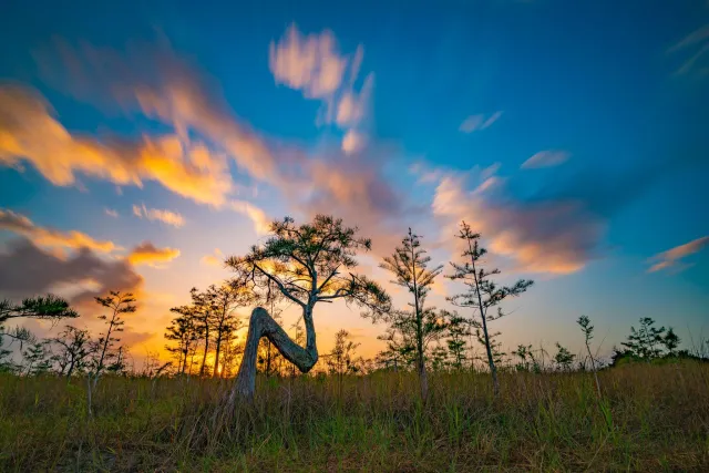 Everglades National Park