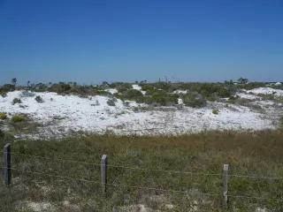 Perdido Key State Park in Pensacola, FL park photo