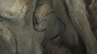 Cave of Forgotten Dreams movie photo 7