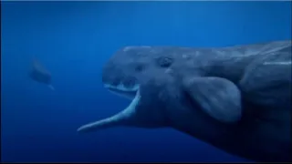 Ocean Odyssey movie photo 1