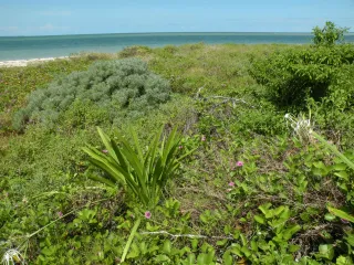 Key West National Wildlife Refuge in Key West, FL park photo