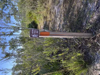 Savage/Christmas Creek Preserve in Titusville, FL park photo