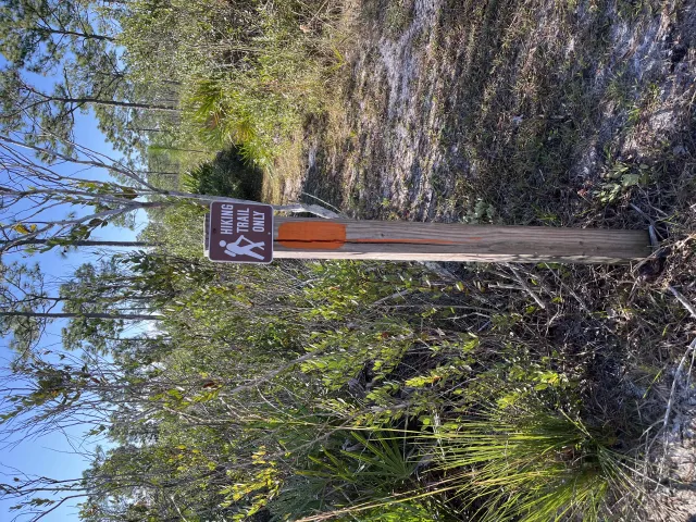 Savage/Christmas Creek Preserve