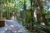Sarasota Jungle Gardens preview 2