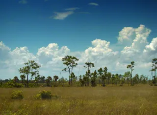 Big Cypress National Preserve photo 1