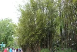 Jacksonville Zoo and Gardens preview 1