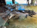 Gatorland preview 2