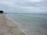 Higgs Beach preview 2